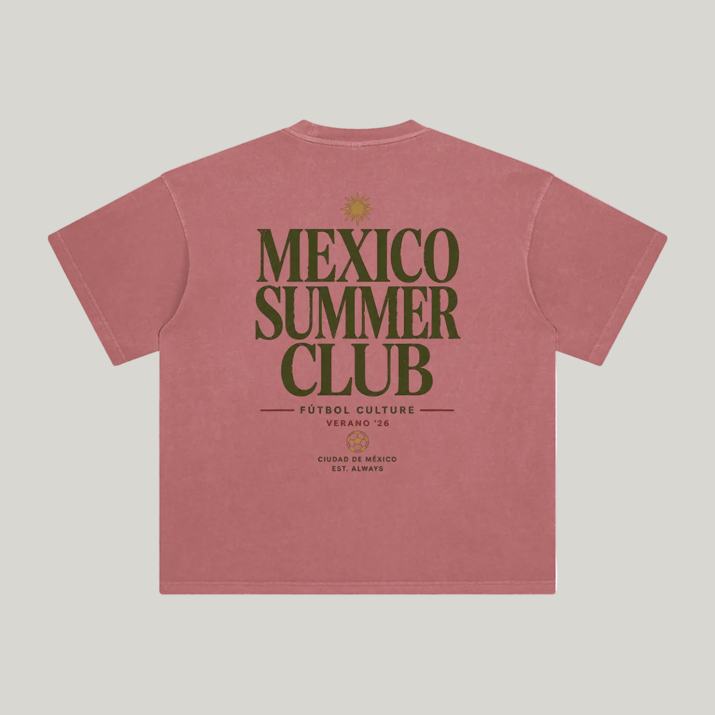 Back of Brick Red enzyme-washed T-shirt with large Mexico Summer Club typography
