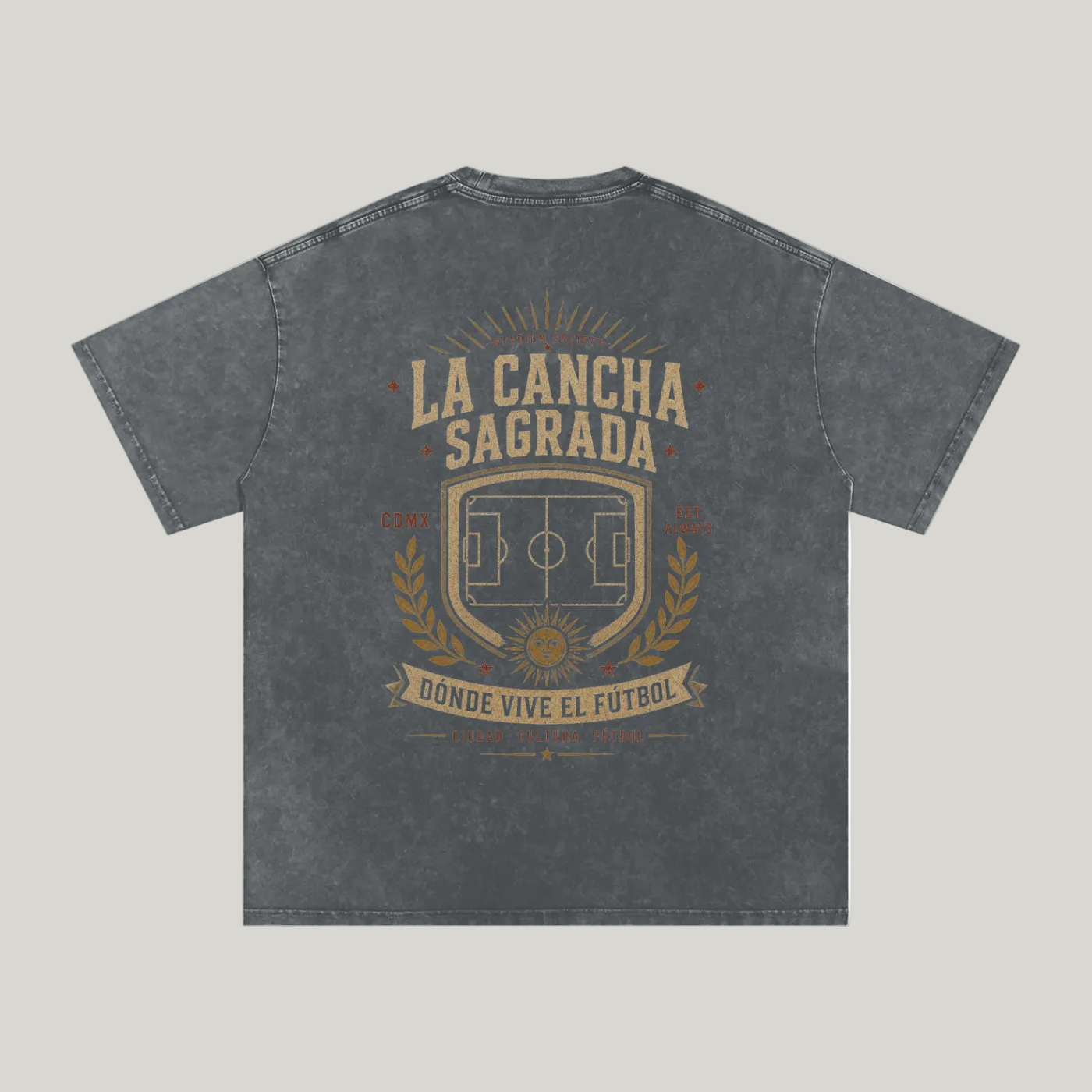 Back of Pirate Gray washed oversized T-shirt with a large La Cancha Sagrada field graphic